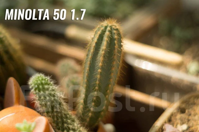 Sony Alpha SLT-A58. 20 � ����� ��, ���: 3� ����