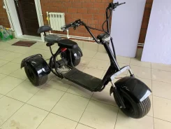 Seev Citycoco. ��������, ��� ������� ����