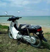 Honda Super Cub 50. 49����. ��., ��������, ���, ��� ������� ����
