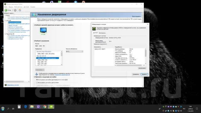 GeForce GTX 1080 Ti ����