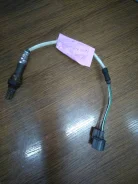����������� ������ 36531P2EA01 ����