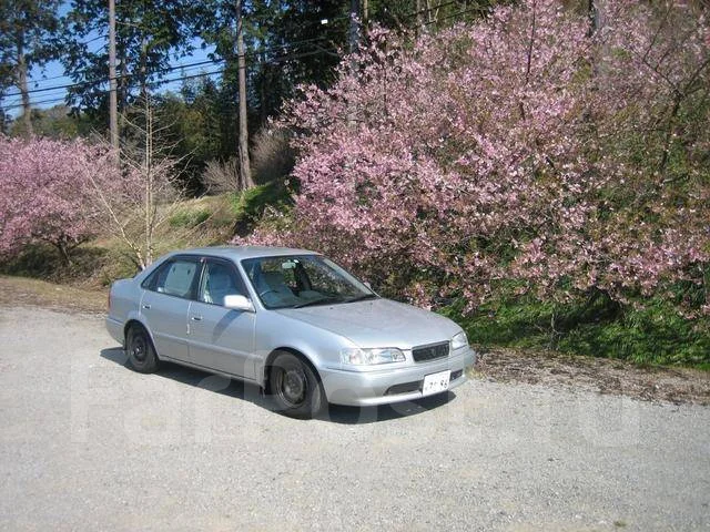 Toyota Sprinter. ��������, ��������, 1.5 (100��.�.), ������, �/�. ��� ����� �� ������������ ����