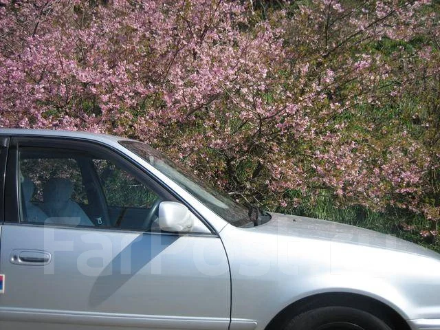 Toyota Sprinter. ��������, ��������, 1.5 (100��.�.), ������, �/�. ��� ����� �� ������������ ����