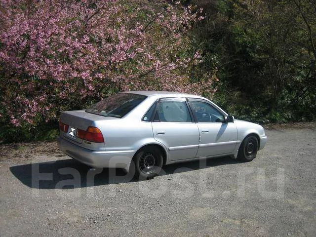 Toyota Sprinter. ��������, ��������, 1.5 (100��.�.), ������, �/�. ��� ����� �� ������������ ����