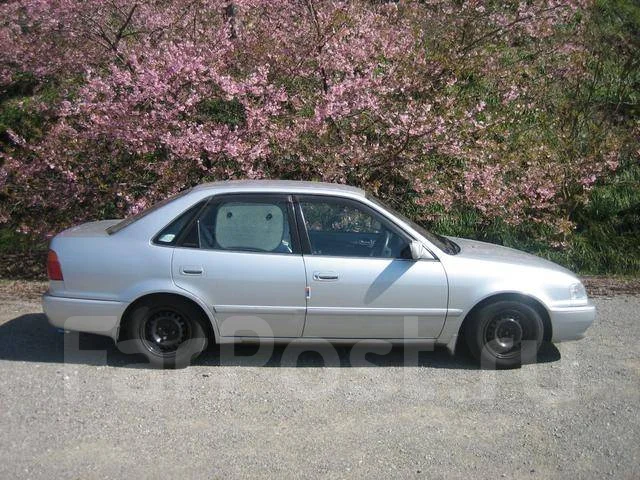 Toyota Sprinter. ��������, ��������, 1.5 (100��.�.), ������, �/�. ��� ����� �� ������������ ����