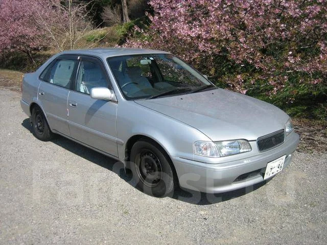 Toyota Sprinter. ��������, ��������, 1.5 (100��.�.), ������, �/�. ��� ����� �� ������������ ����