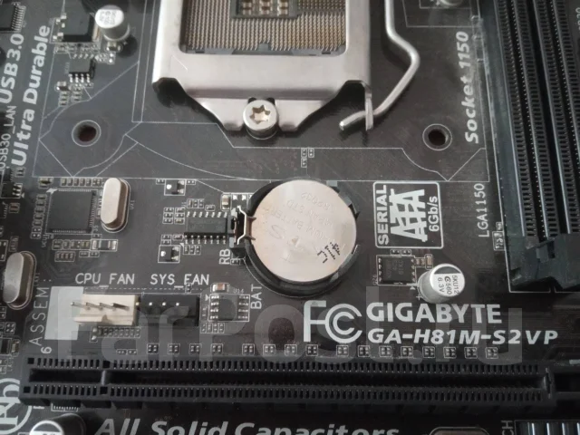 H81 ����
