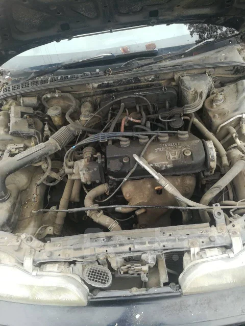 Honda Integra ����