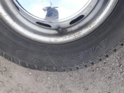 Medeo Winter. ������, ����������, 2015 ���, �/�, ����� 5 % ����