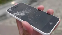 ������ ����������, �������. ����