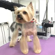 �������. ����