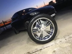 Verde. x22" ����