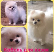 ����. ����