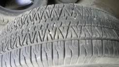 Firestone Wilderness LE. ������, �/�, ����� 10 % ����