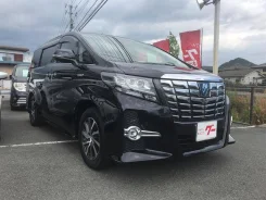 Toyota Alphard. �������, 4wd, 2.5 (152��.�.), �������������, 60 000����. ��, �/�. ��� ����� �� ������������ ����