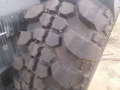 ��������� Forward Safari 500. ����� at, 2018 ���, ����� ����