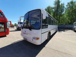 КАвЗ 4238-41. Автобус КАВЗ 4238-41 "Аврора, 44 места, В кредит, лизинг