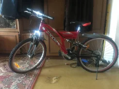 XDS ����