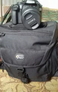 Canon EOS 4000D. ���: 14� � ����� ����