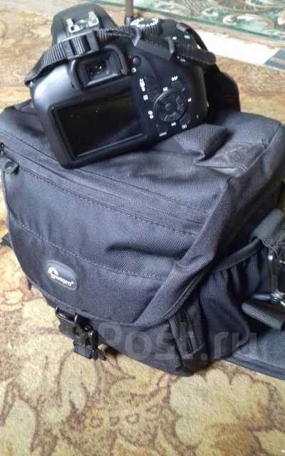 Canon EOS 4000D. ���: 14� � ����� ����