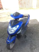 Racer Taurus ����