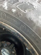 Cordiant Polar. ������, ����������, �/�, ����� 5�%