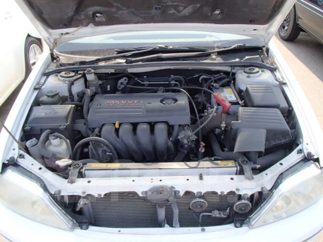 Toyota Vista Ardeo. ZZV50, 1ZZ ����