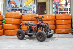 Bot Renegade 1100E. ��������, ��� ���\���, ��� �������. ��� ����� �� ������������ ����
