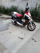 Eurotex Striker. 50����. ��., ��������, ��� ��� ����
