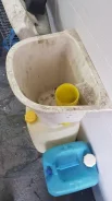 ��������. ����