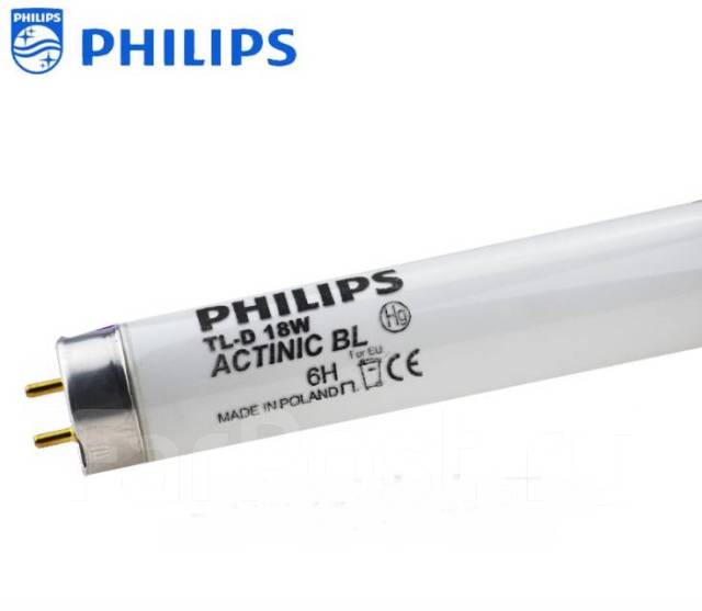 Actinic bl t8 f10w. Лампа бактерицидная ecoguard actinic bl t8f20w. Трубчатые уф лампы. 0 10w. Fsl bl t5 f8w.