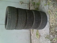 Aderenza. ������, ����������, 2014 ���, �/�, ����� 40�% ����
