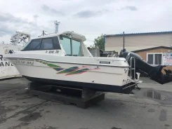 Nissan Suncruise. 1997 ���, ����� 7��., 140��.�. ����