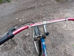 XDS ����