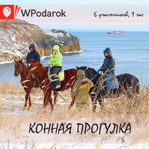 Подарочный сертификат "Конная прогулка" - Подарочные сертификаты во ...