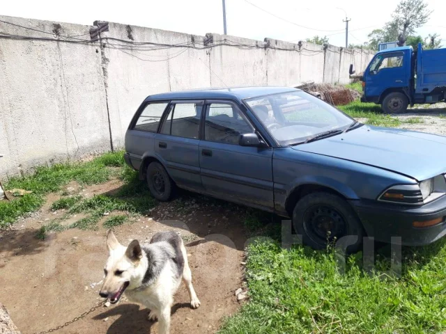 Toyota Sprinter. �������, ��������, 1.8 (85��.�.), ������, 360����. �� ����