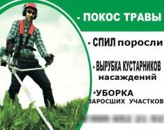 Покос травы и Уборка Заросших Участков в Орехово-Зуево Покос травы и Уборка Заросших Участков