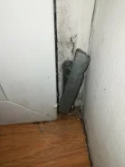 ��������� ������� ���������. ����