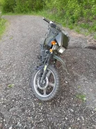 Irbis Intruder. 200����. ��., ��������, ���, � �������� ����