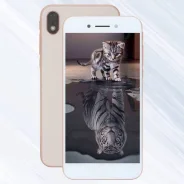 DEXP G253. �/�, �����, �������, 3G, Dual-SIM ����