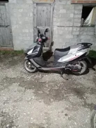 Irbis Nirvana. 150����. ��., ��������, ��� ���, � �������� ����