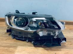 Фара. Toyota Allion, NZT260, ZRT260, ZRT261, ZRT265