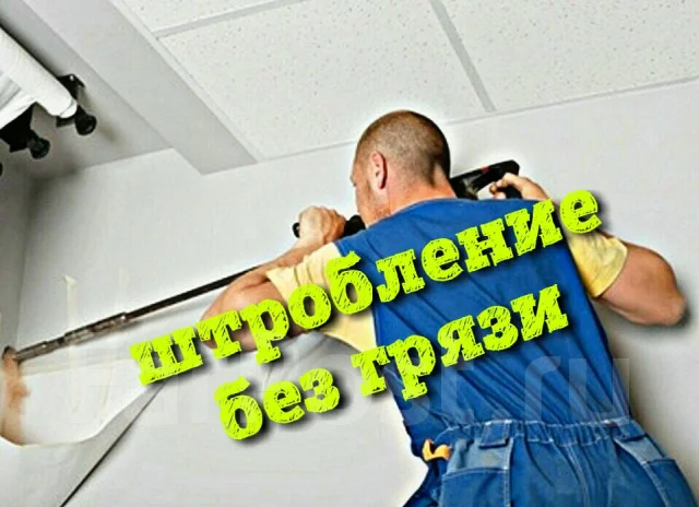 ������������ �������������. ����