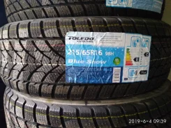 Toledo BlueSnow. ������, ��� �����, 2018 ���, ����� ����
