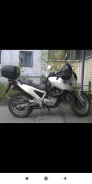 BMW F 650. 650����. ��., ��������, ���, � �������� ����