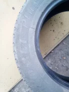 Sava Comet Economic. ������, �/�, ����� 5�%