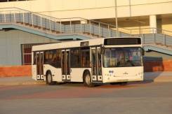 МАЗ 103486. Автобус МАЗ-103486 низкопольный, В кредит, лизинг