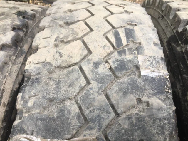 Triangle TR689. �����������, 2010 ���, �/�, ����� 50 % ����
