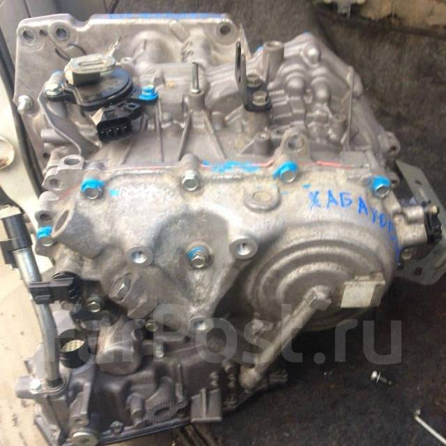 Питбуль авто хабаровск