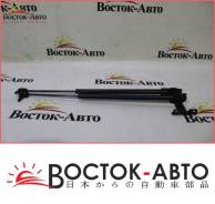Амортизатор двери багажника Nissan Terrano R50 TD27TI (904600W000)